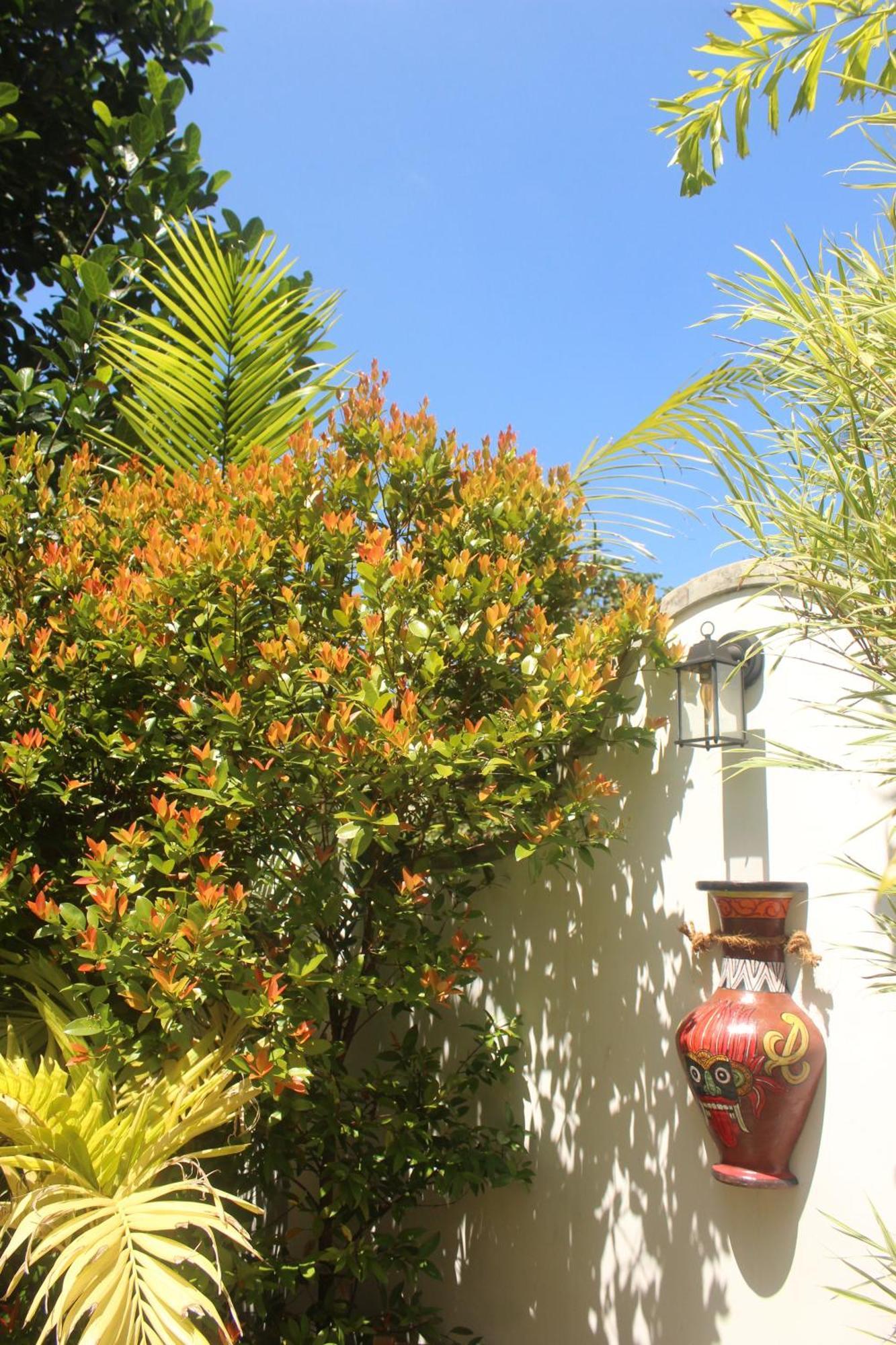 Villa Olde Ceylon Kandy Exteriör bild