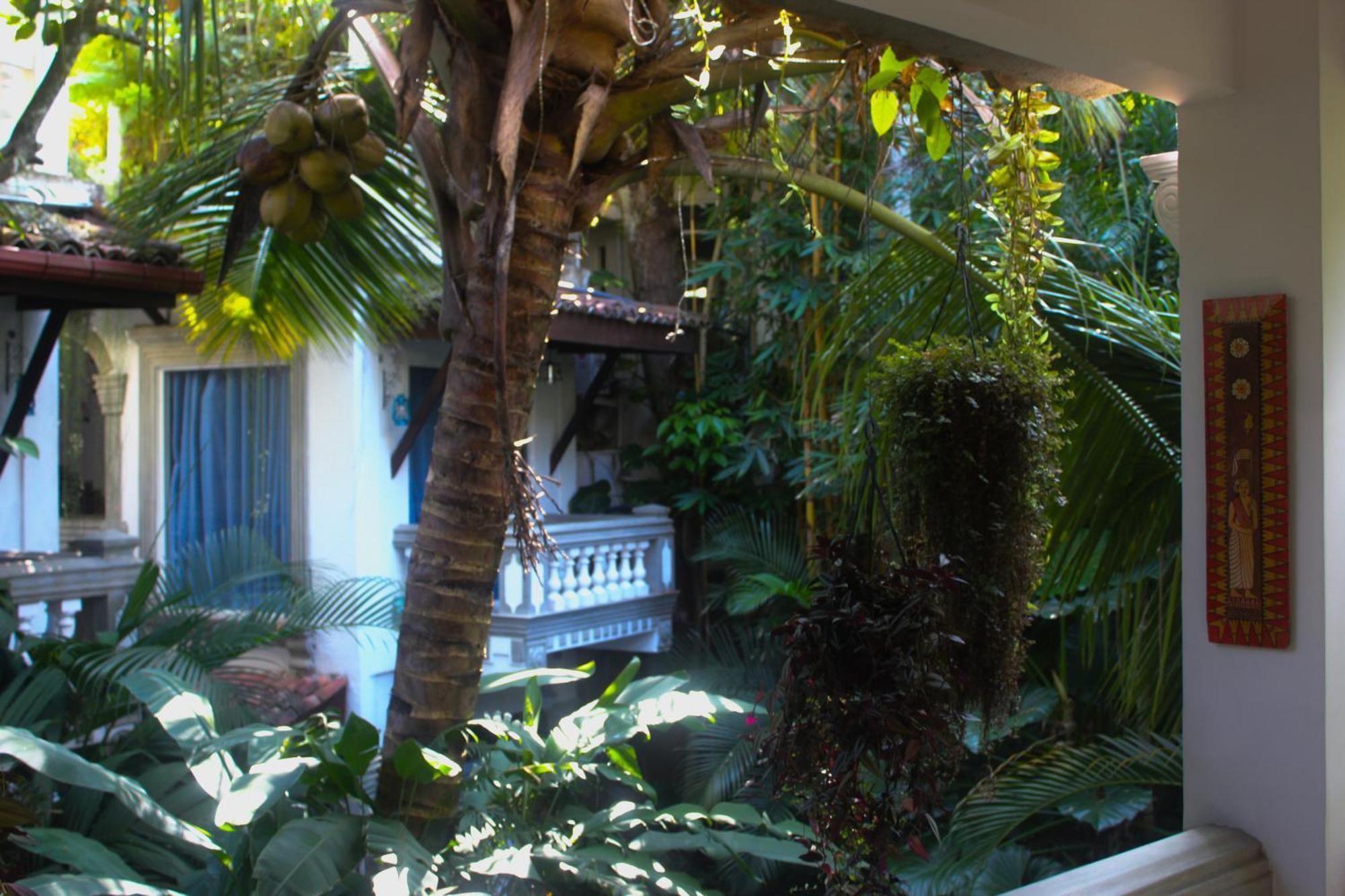 Villa Olde Ceylon Kandy Exteriör bild