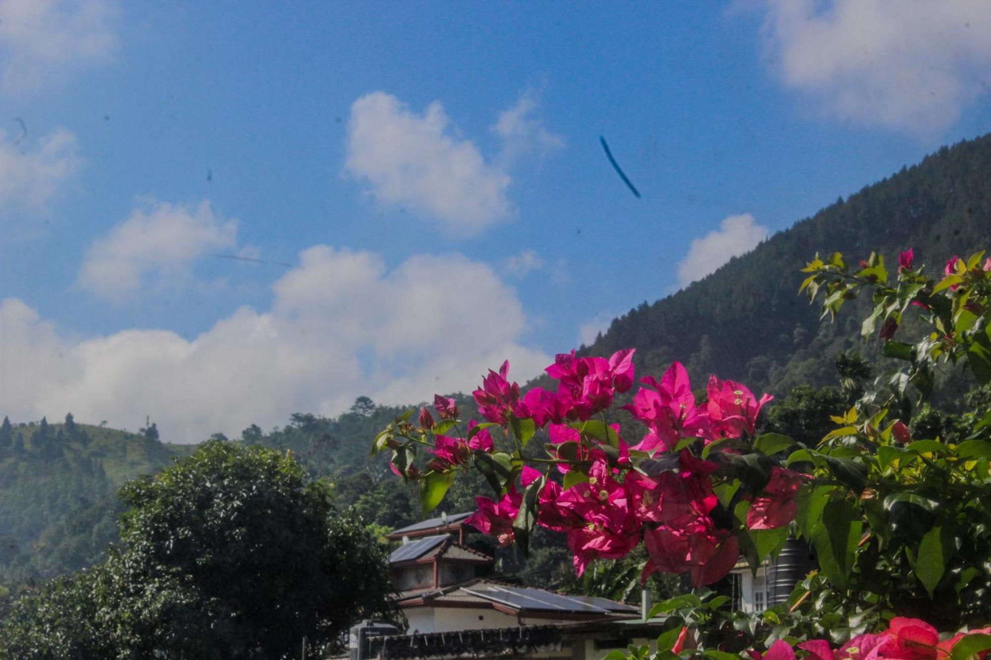 Villa Olde Ceylon Kandy Exteriör bild